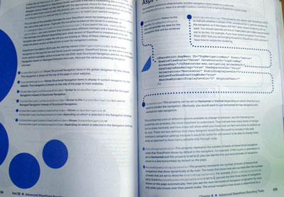 SP2013 Branding Layout